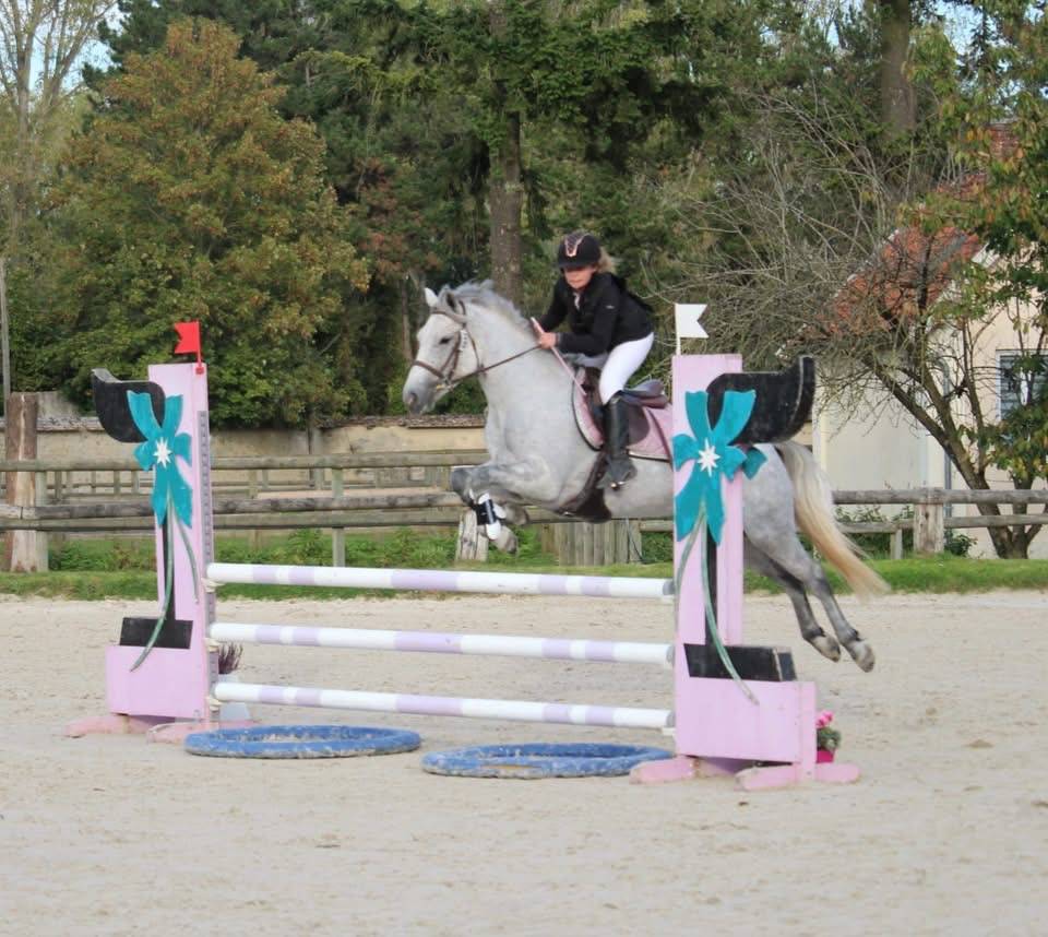 Ponette d assurance vie et top en concours 