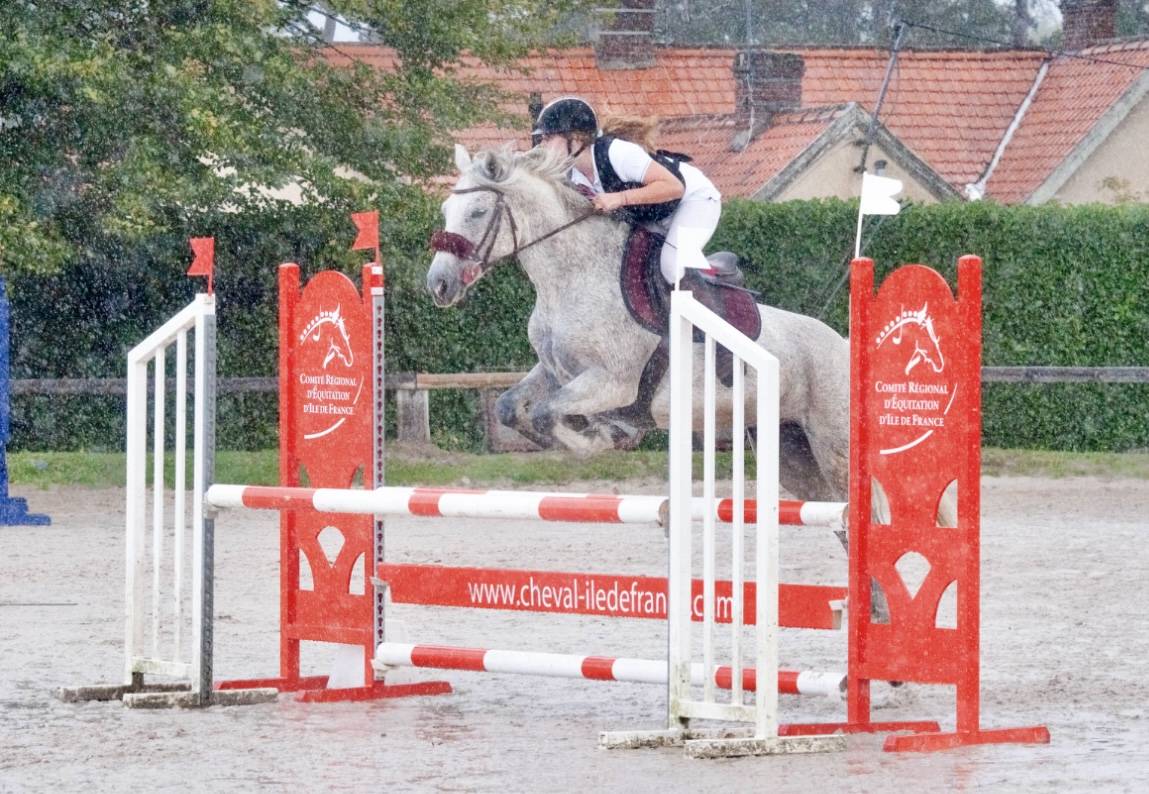 Ponette d assurance vie et top en concours 