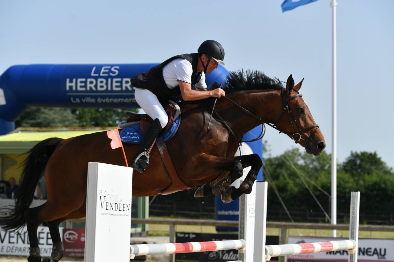 Jument 9 ans SF Originel pour CSO