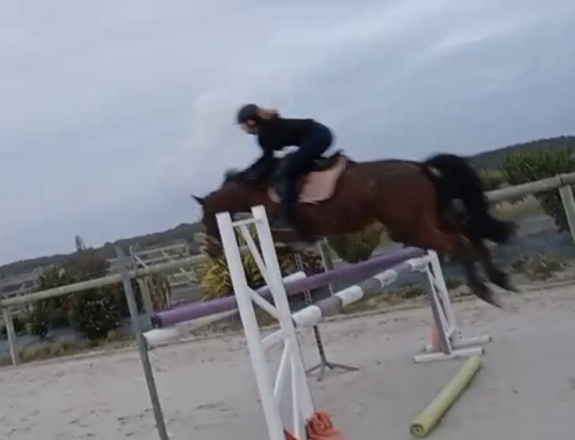 Ponette 5 ans pfs 