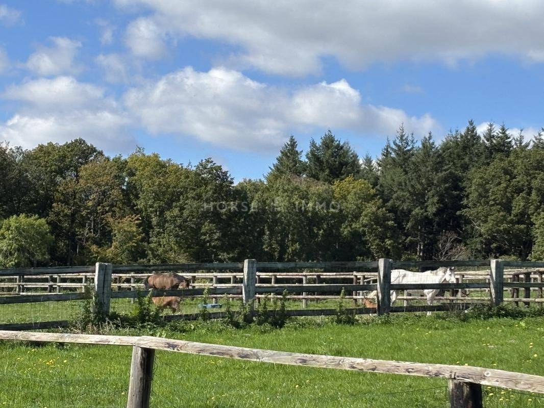 Idéal élevage ou entraînement : domaine équestre 70 ha