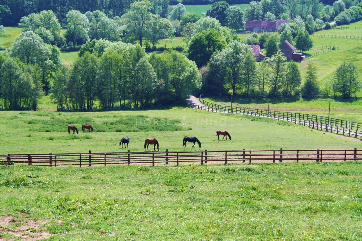Idéal élevage ou entraînement : domaine équestre 70 ha