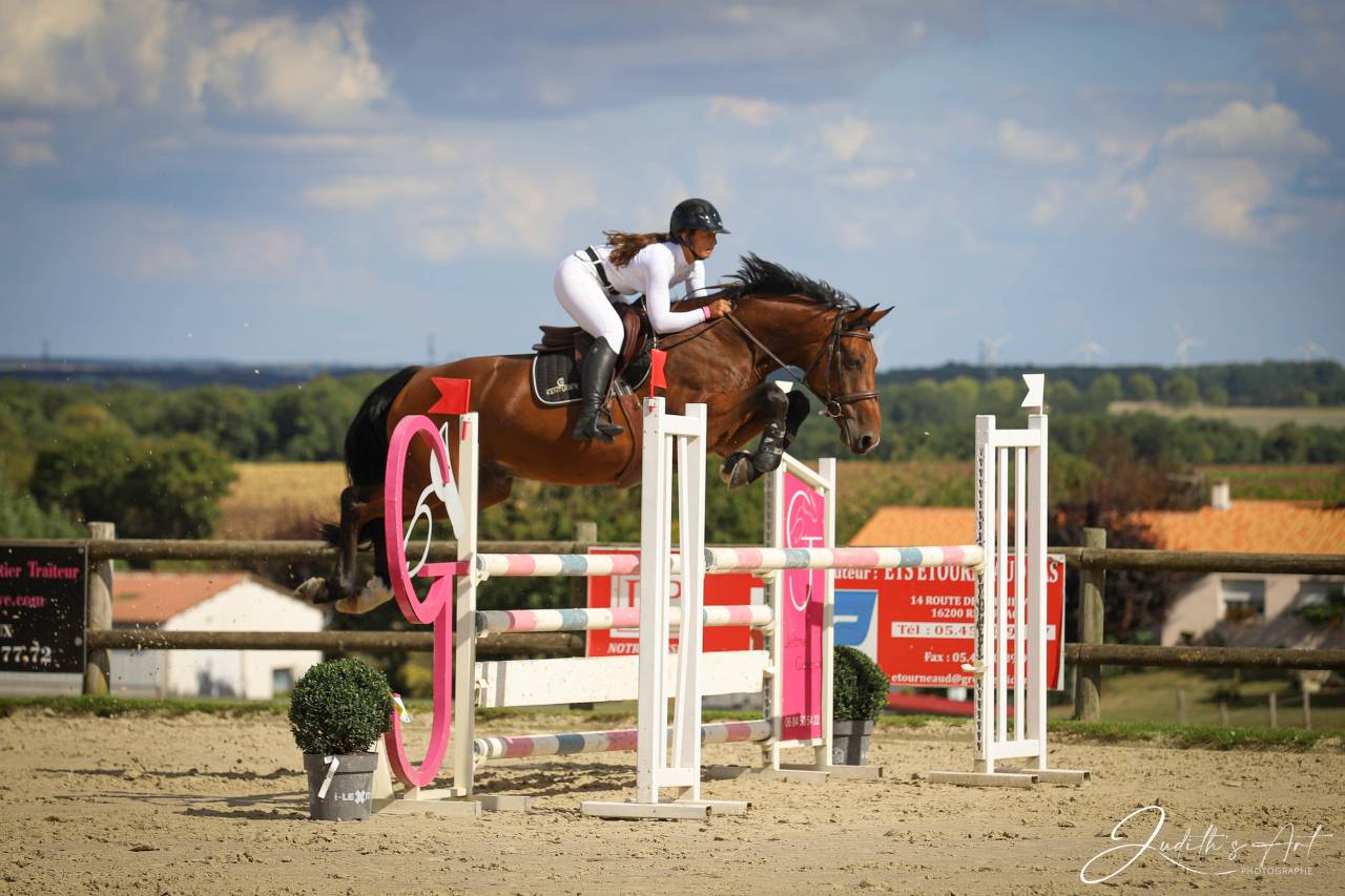 Auto-entrepreneur services équins 