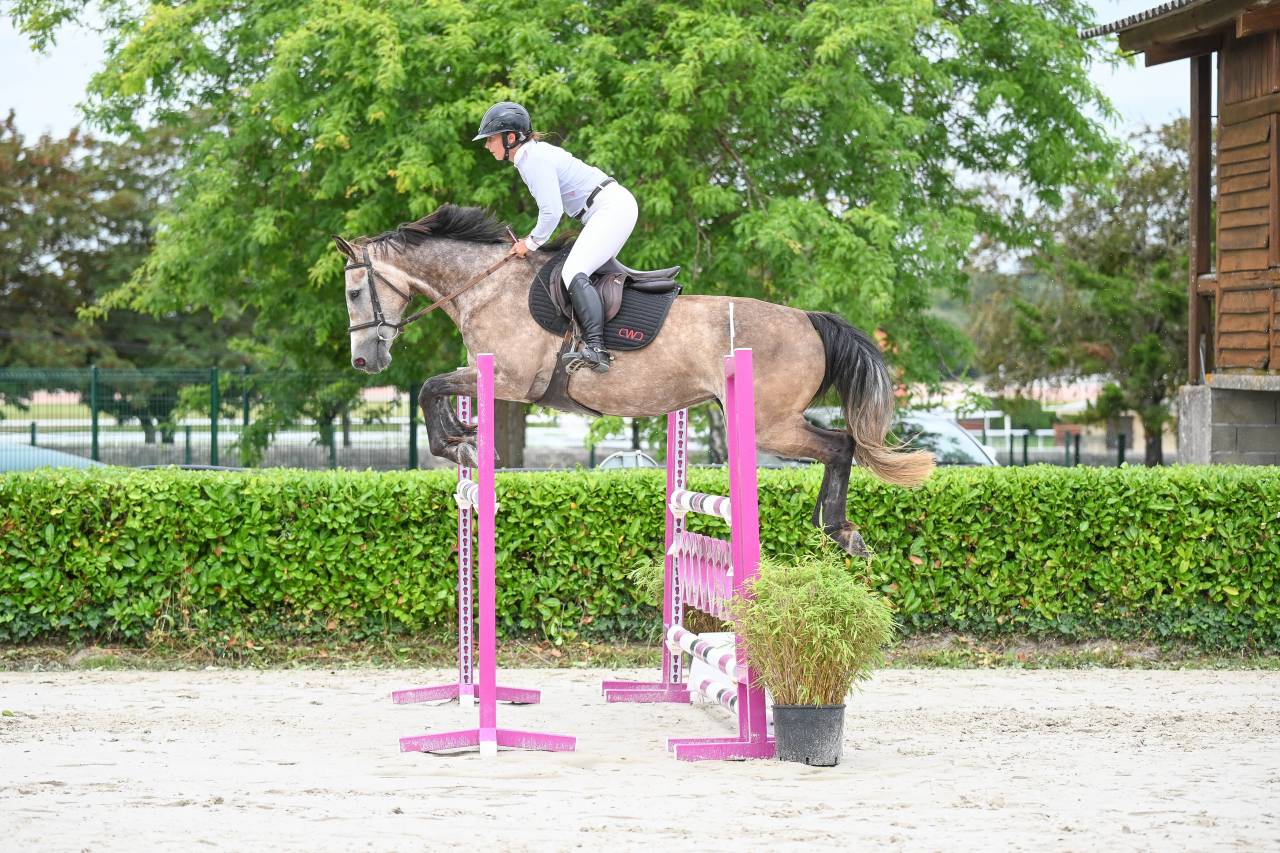 Auto-entrepreneur services équins 