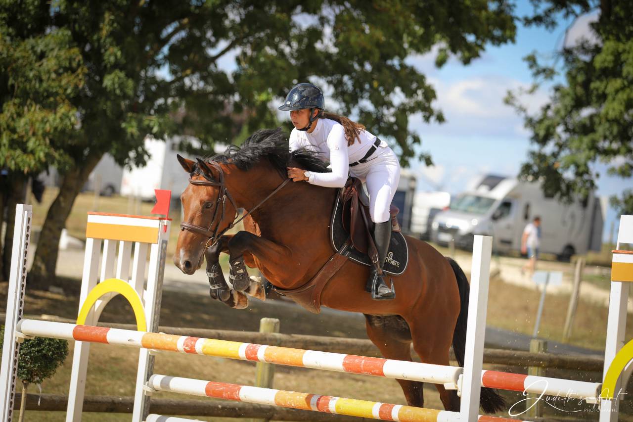 Auto-entrepreneur services équins 