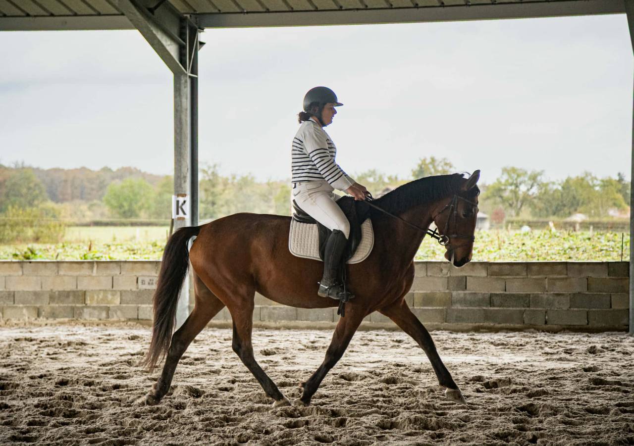 Cherche demi pension