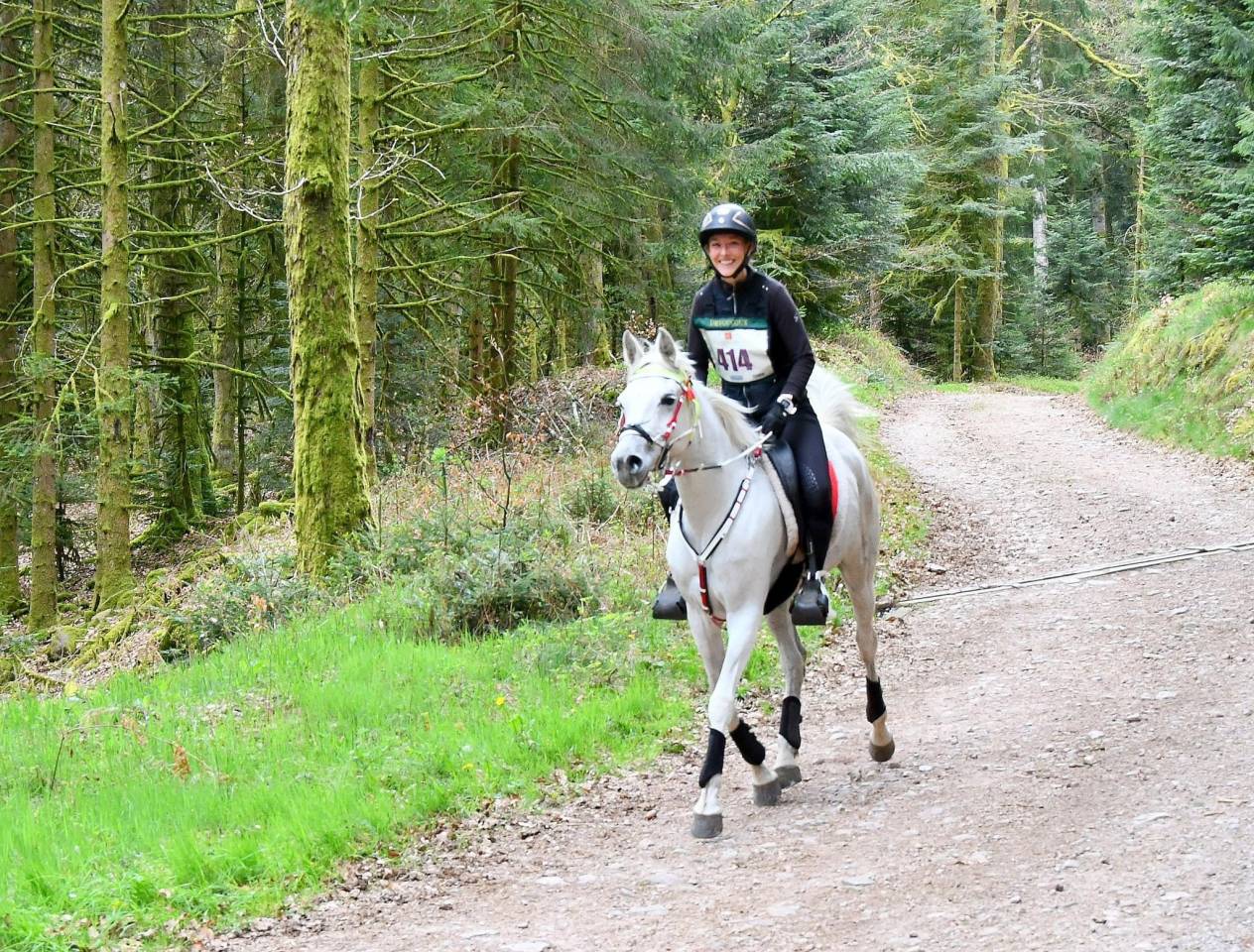 Jument Pur Sang Arabe 12 ans