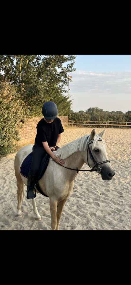 Jument 4 ans et demi, prometteuse et polyvalente