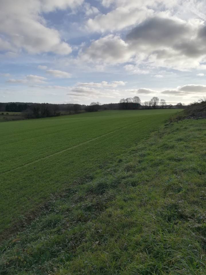 &Eacute;curie de propri&eacute;taires LANGUIDIC