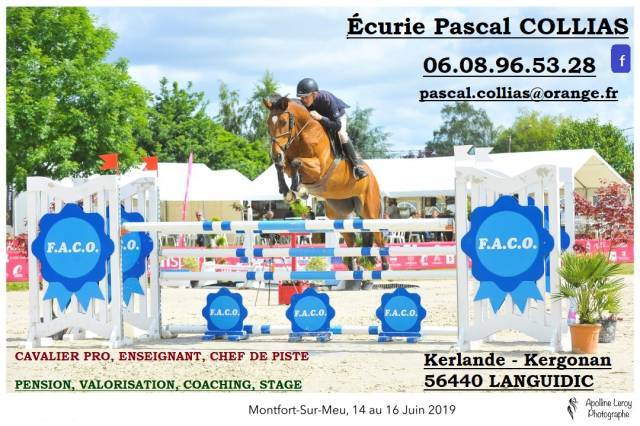 &Eacute;curie de propri&eacute;taires LANGUIDIC