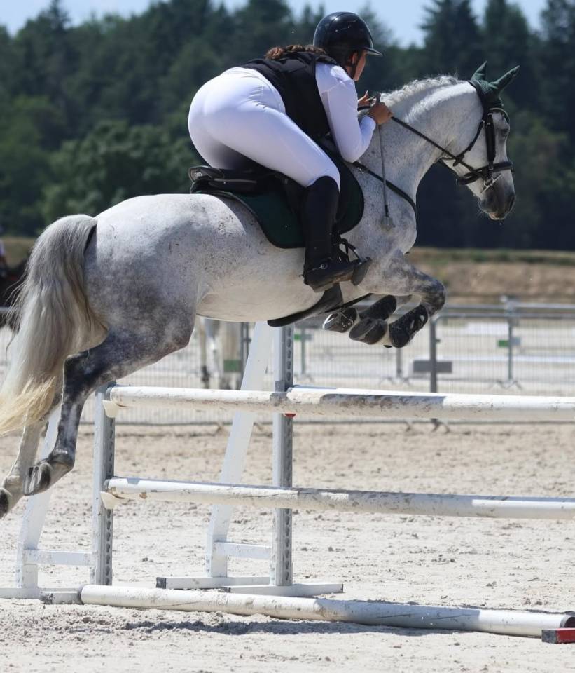 PONEY D sport 