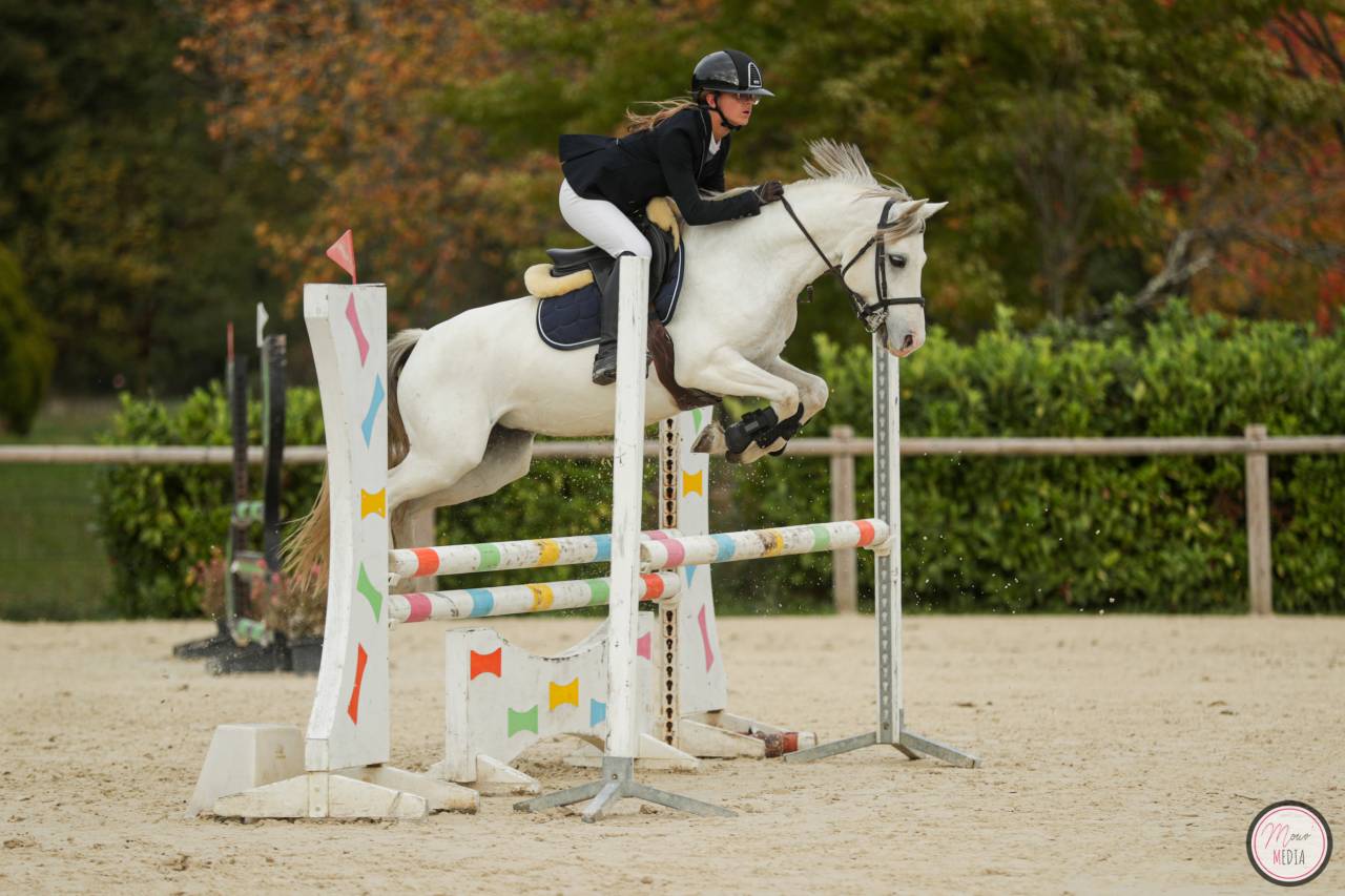 PONETTE B / A VENDRE