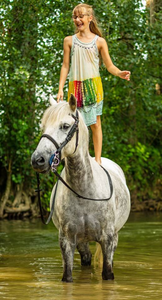 Ponette DSA, née en 2012