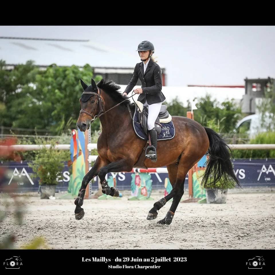 Darkos SODH super cheval d'école inarrêtable  