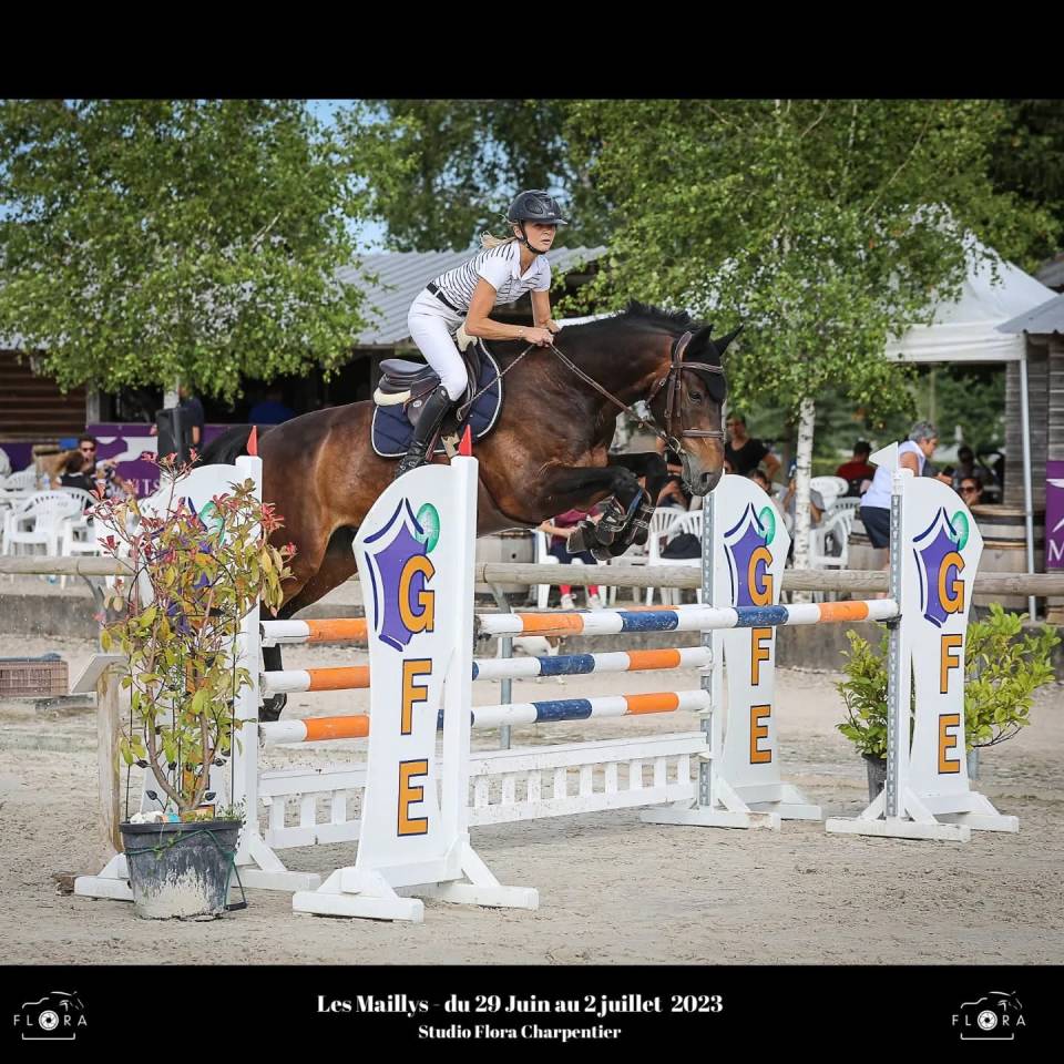 Darkos SODH super cheval d'école inarrêtable  