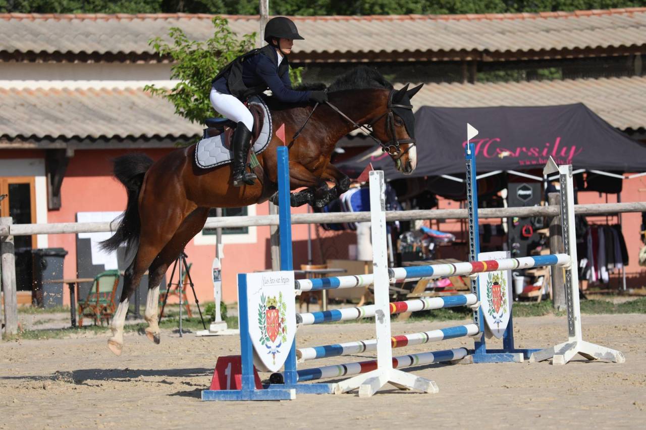 Jument 8ans pour CSO