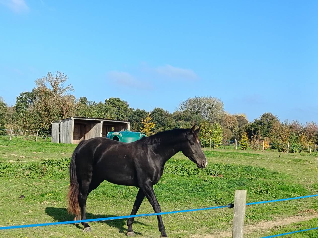 Pension pr&eacute; box