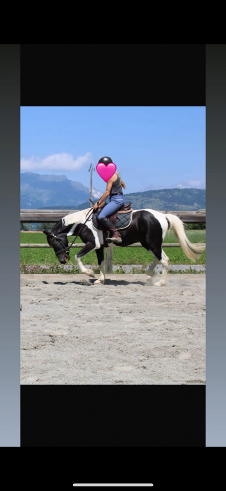 Poney onc 5 ans