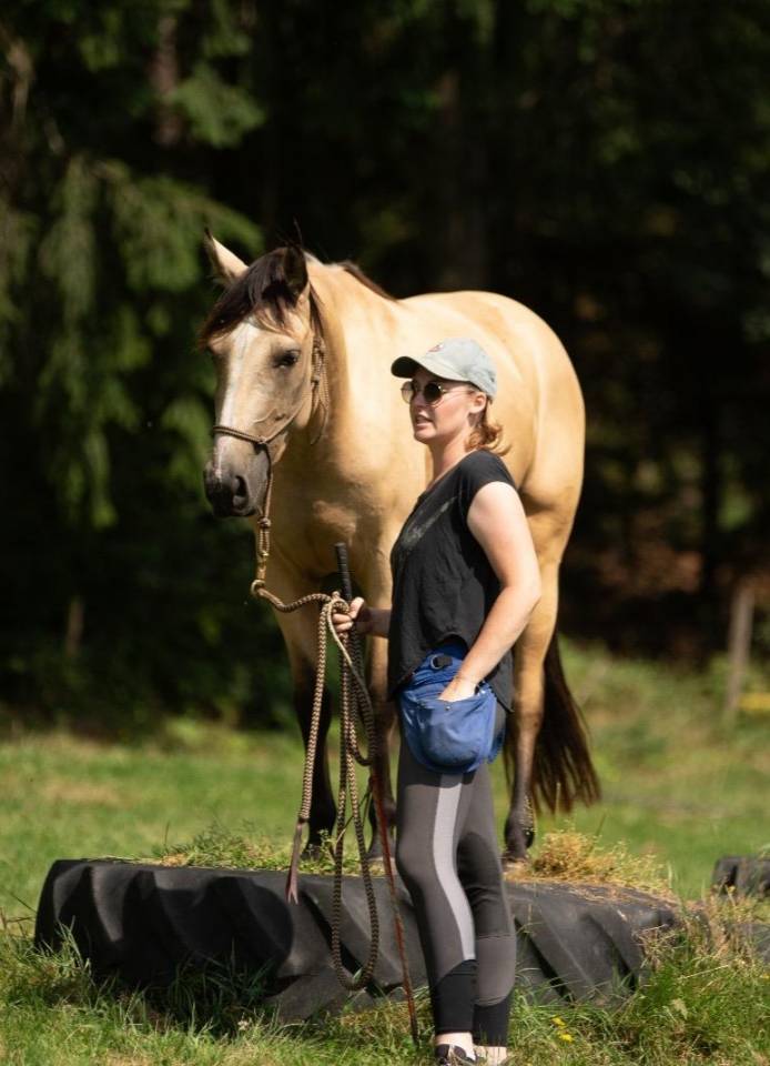 Jument 4 ans isabelle 