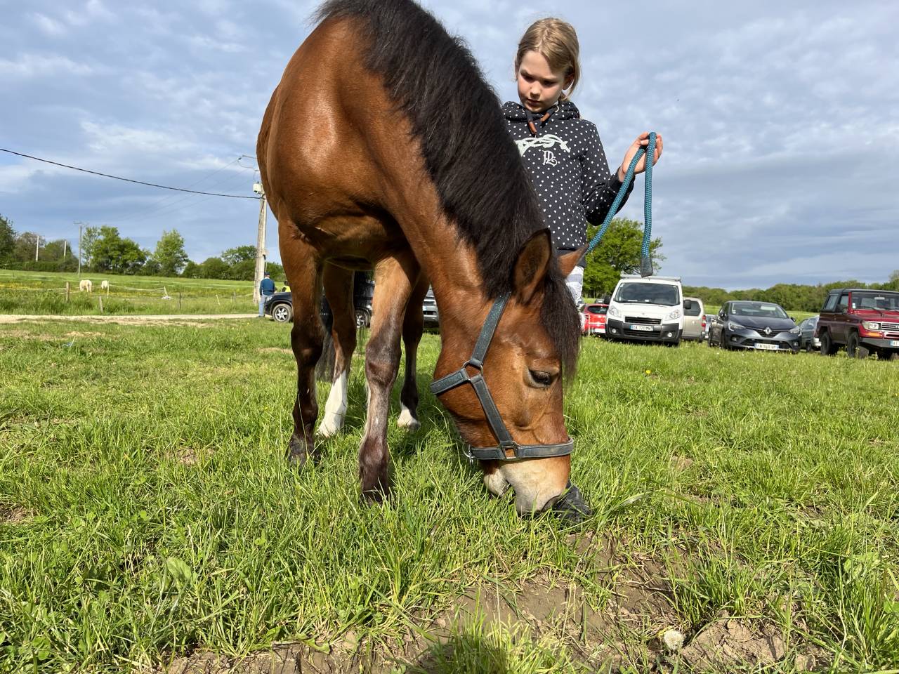 Super poney d’enfant cherche DP