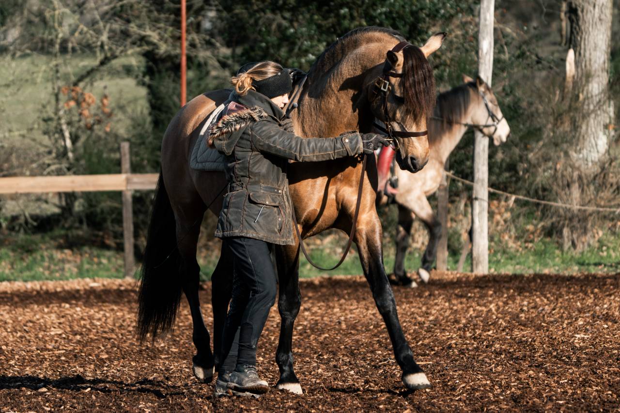 A vendre PSL entier de 14 ans