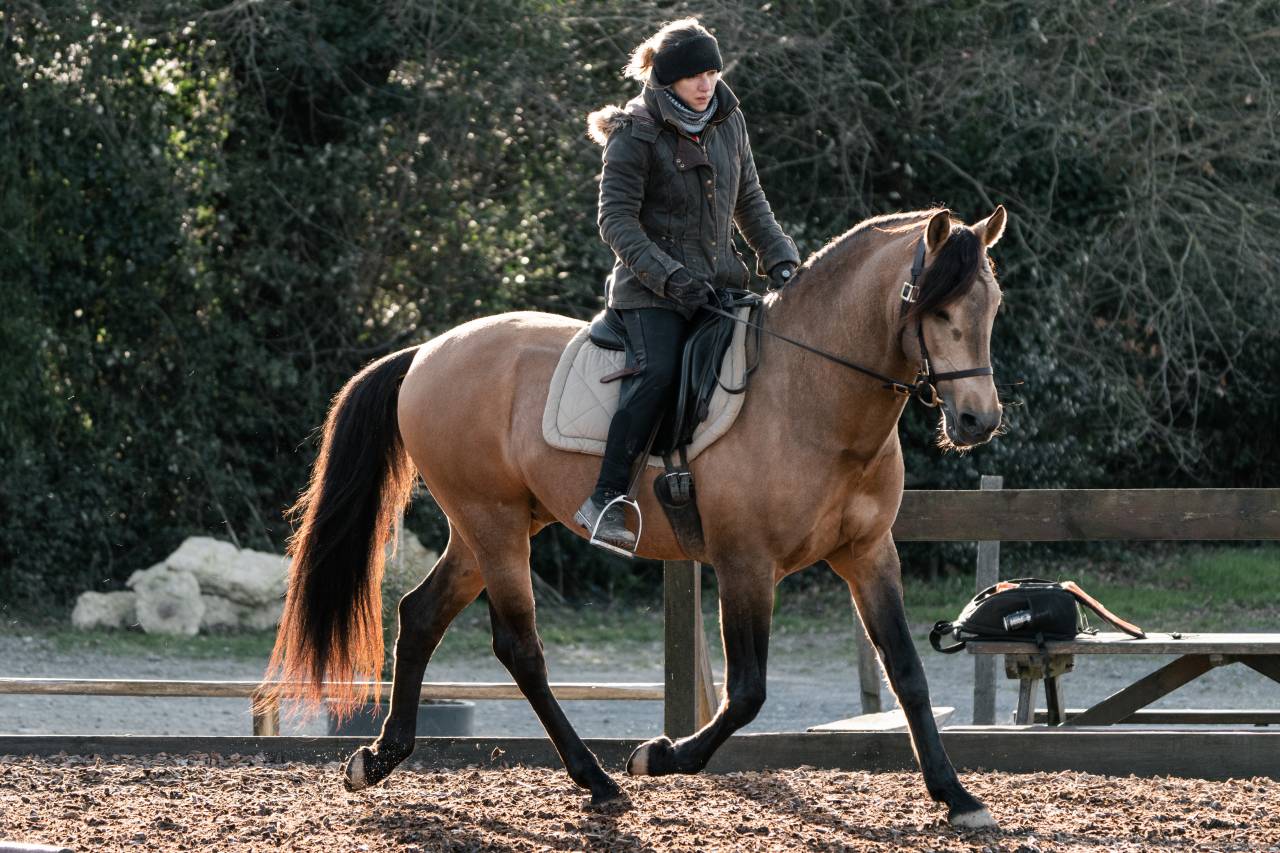 A vendre PSL entier de 14 ans