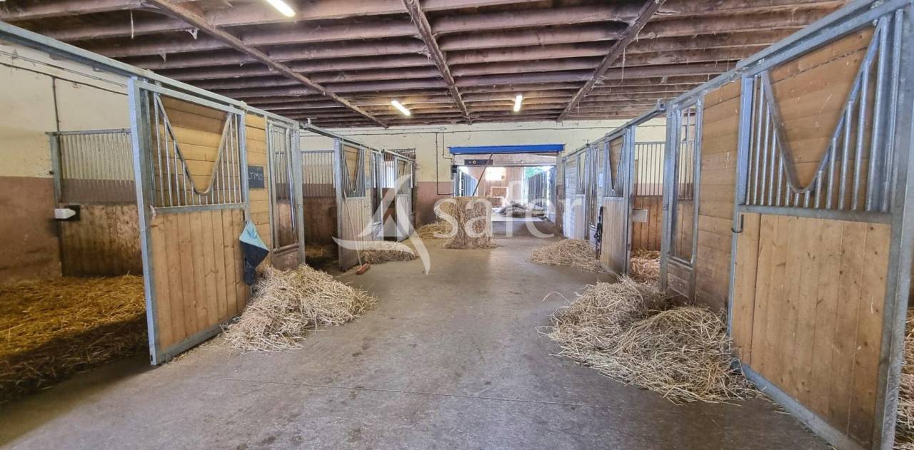 Propri&eacute;t&eacute; &eacute;questre sur 6ha50 en Aveyron