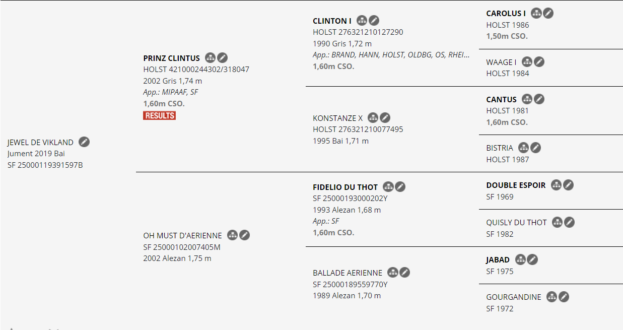 Jewel de Vikland – Poulinière SF