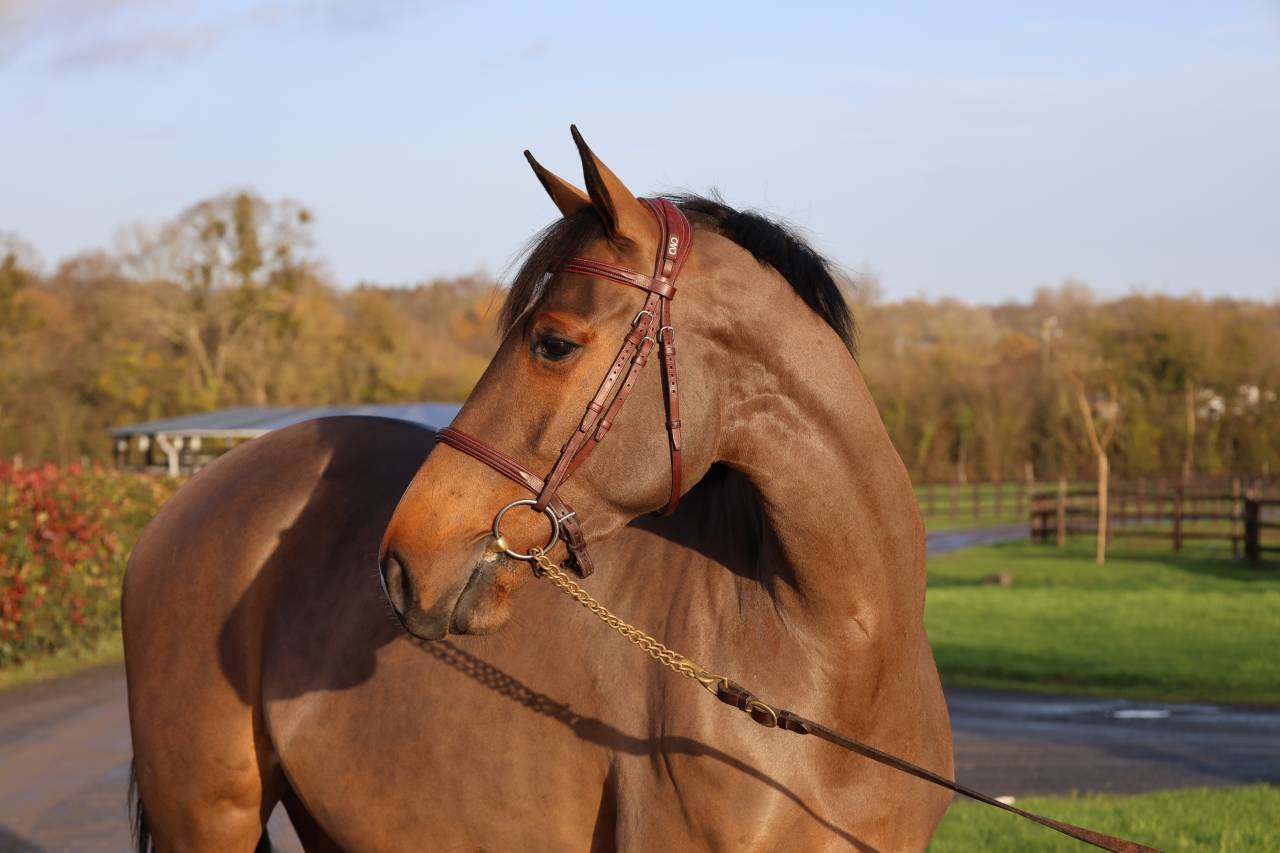 LISBONNE DU MAIZERET