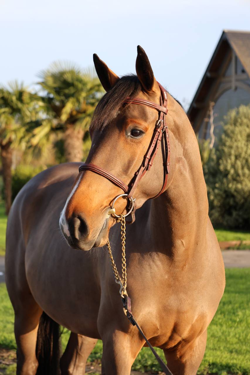 LISBONNE DU MAIZERET