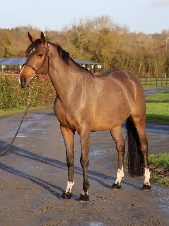 LISBONNE DU MAIZERET