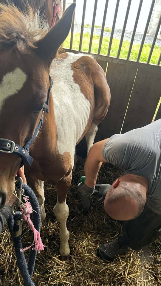 ✨ Disponible – Tip-Top de Lady J 2025 ✨