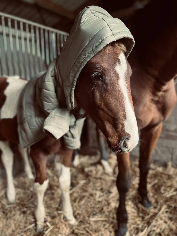 ✨ Disponible – Tip-Top de Lady J 2025 ✨