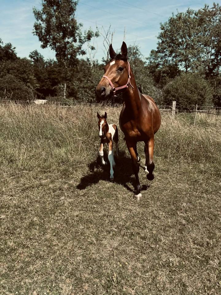 ✨ Disponible – Tip-Top de Lady J 2025 ✨