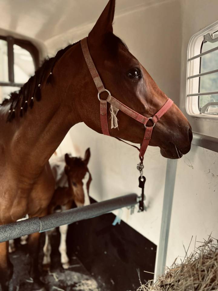 ✨ Disponible – Tip-Top de Lady J 2025 ✨