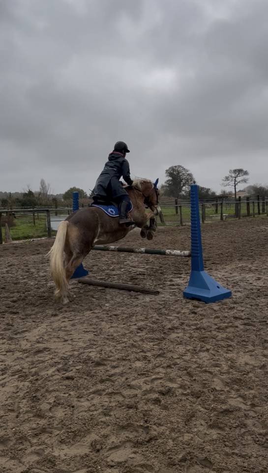 ? Recherche apprentissage BPJEPS 