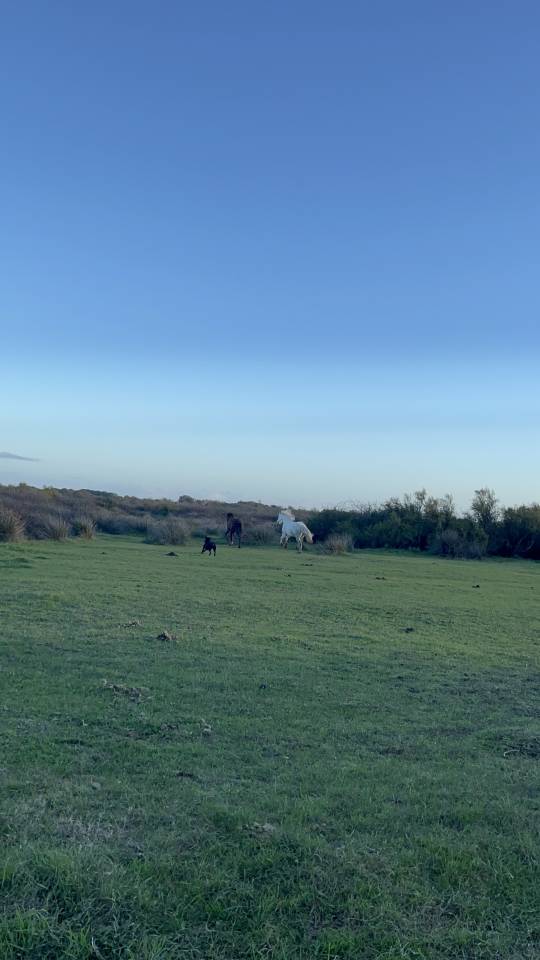 ? Recherche apprentissage BPJEPS 