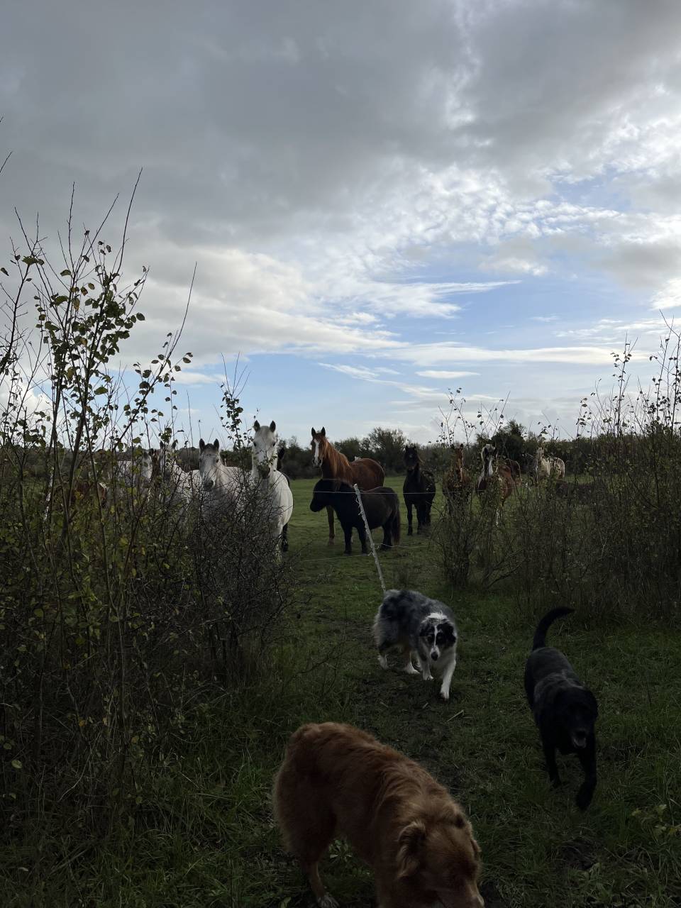 ? Recherche apprentissage BPJEPS 