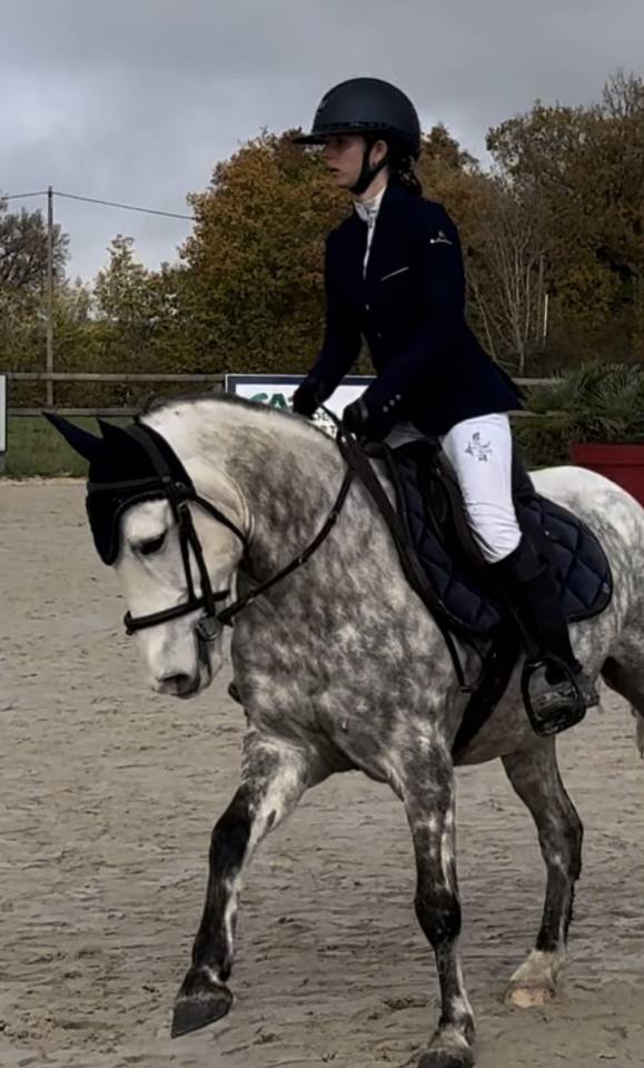 Poney OC de sport à vendre 