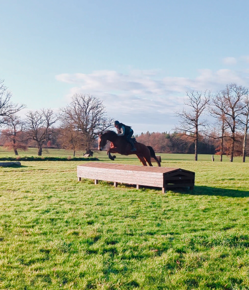 Jument - 6ans - CSO HUNTER CCE