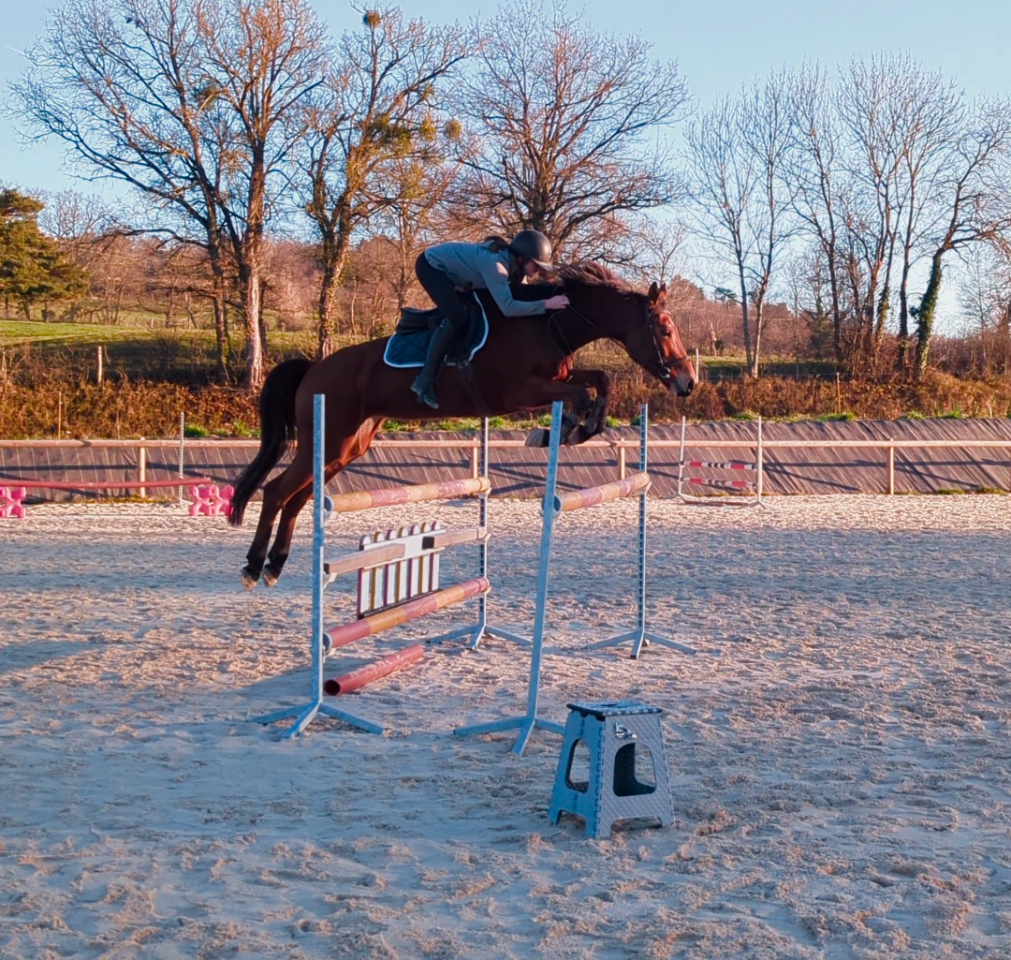 Jument - 6ans - CSO HUNTER CCE