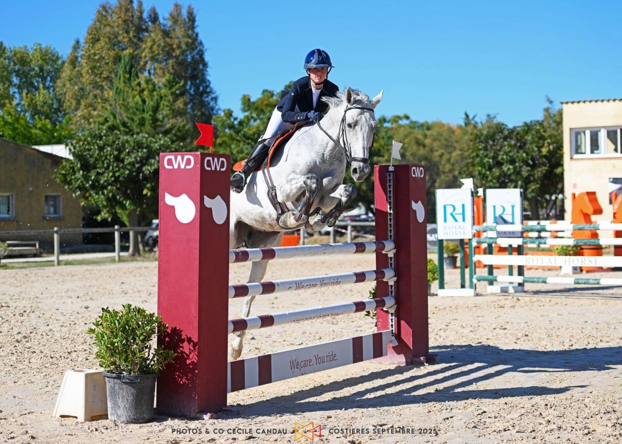 À vendre ou à louer – Maître d’école