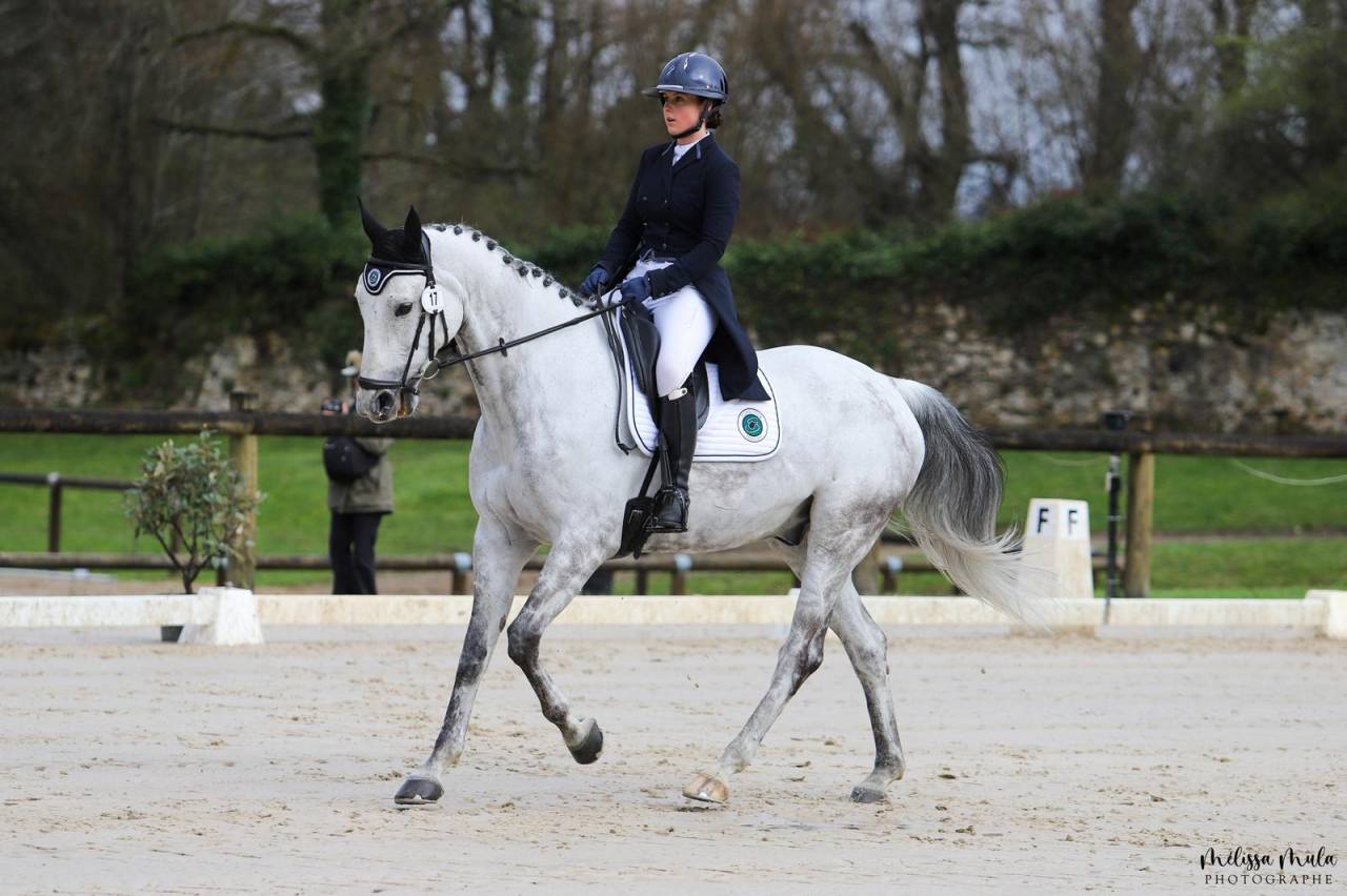 À vendre ou à louer – Maître d’école