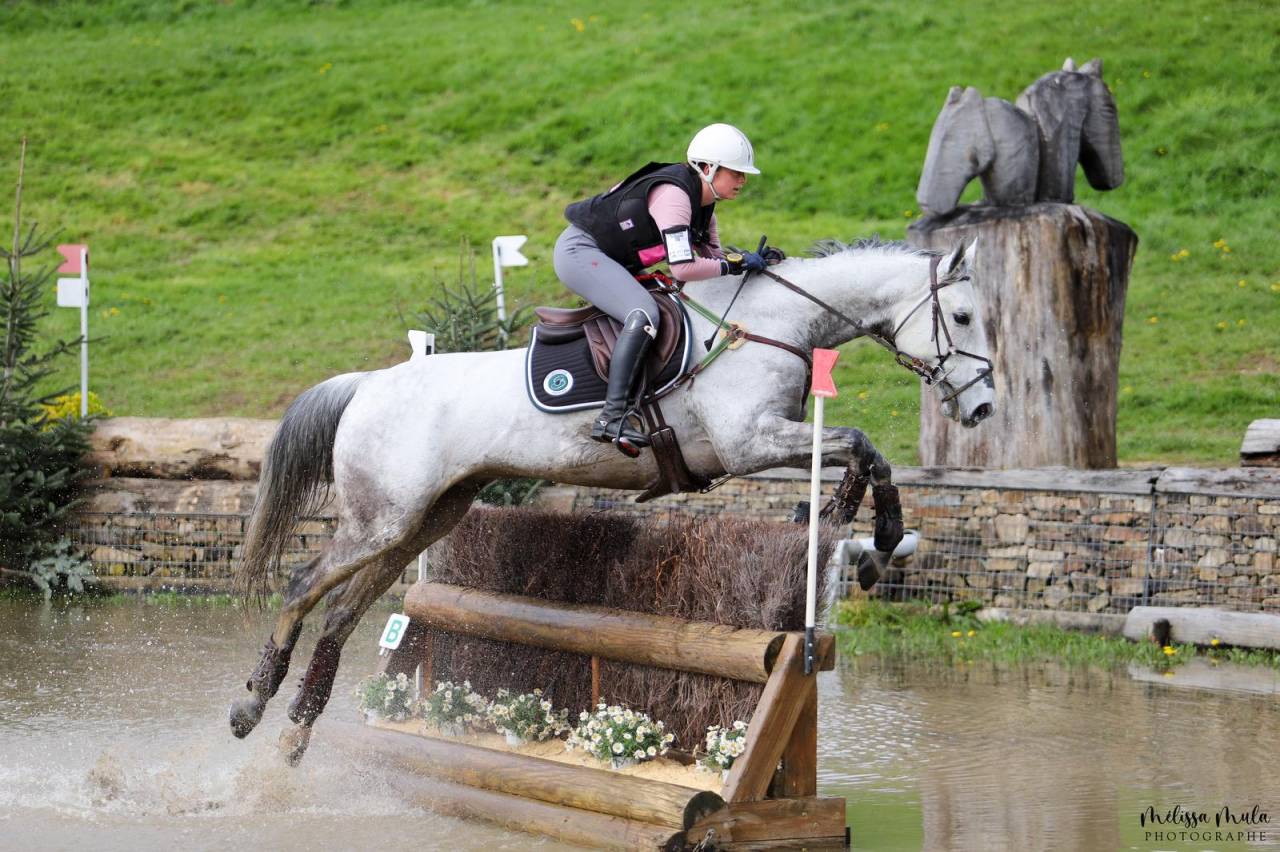 À vendre ou à louer – Maître d’école
