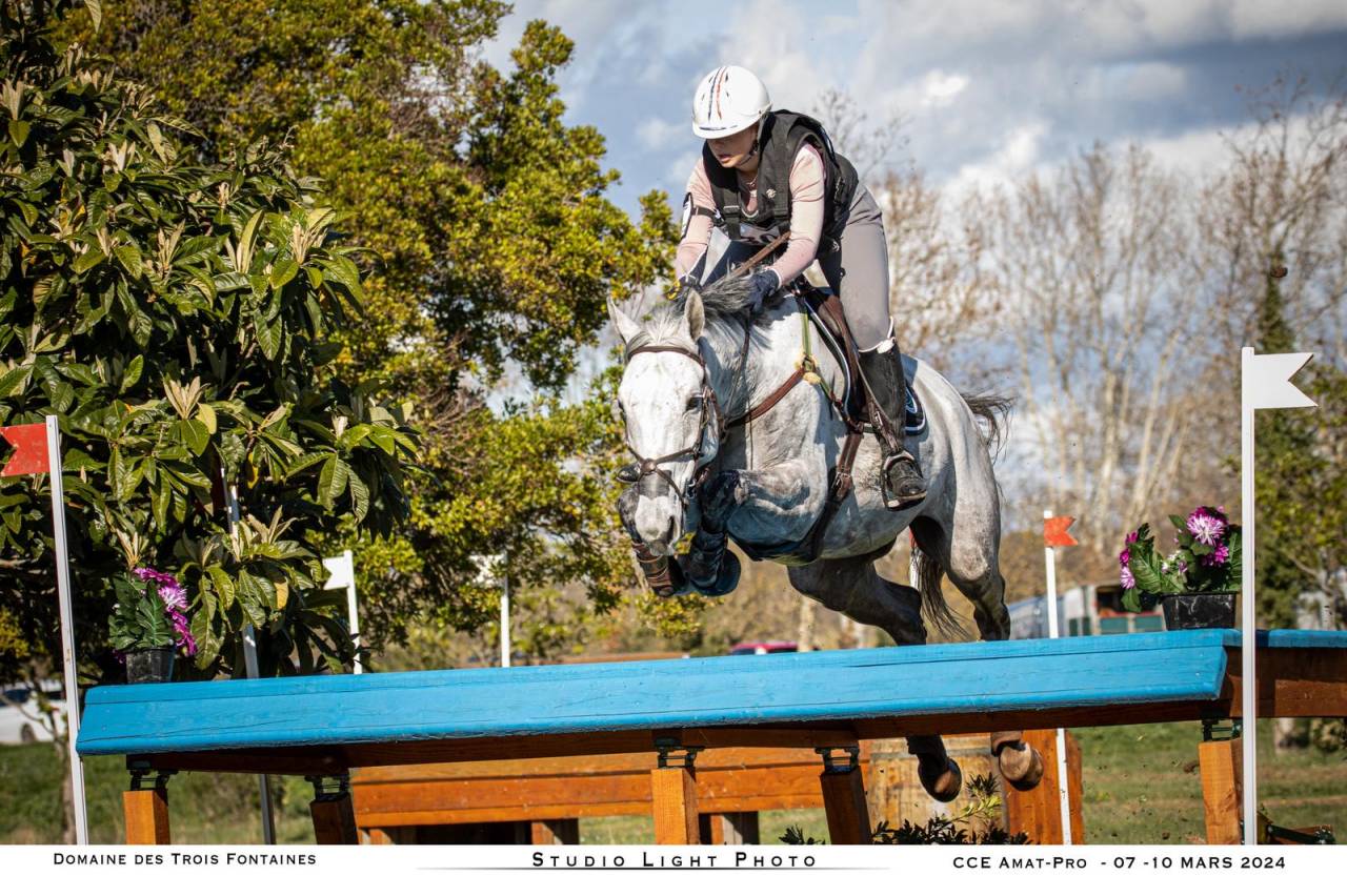 À vendre ou à louer – Maître d’école