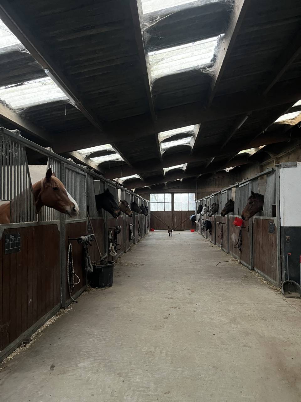 Ecurie de propri&eacute;taire 