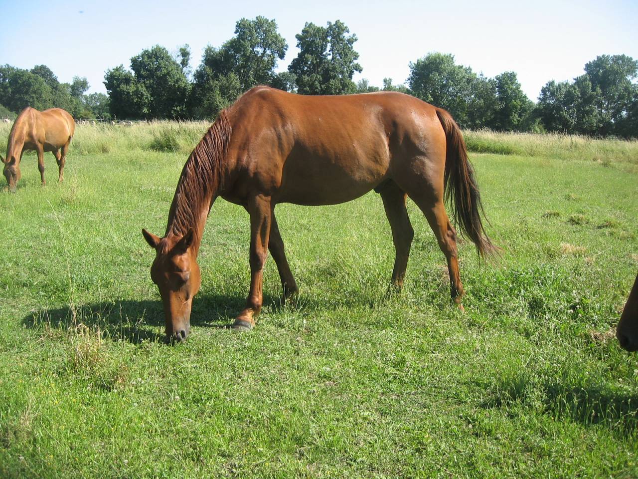 tf loisir  rando trec 