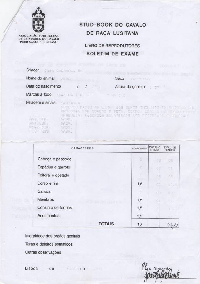 poulinière lusitanienne