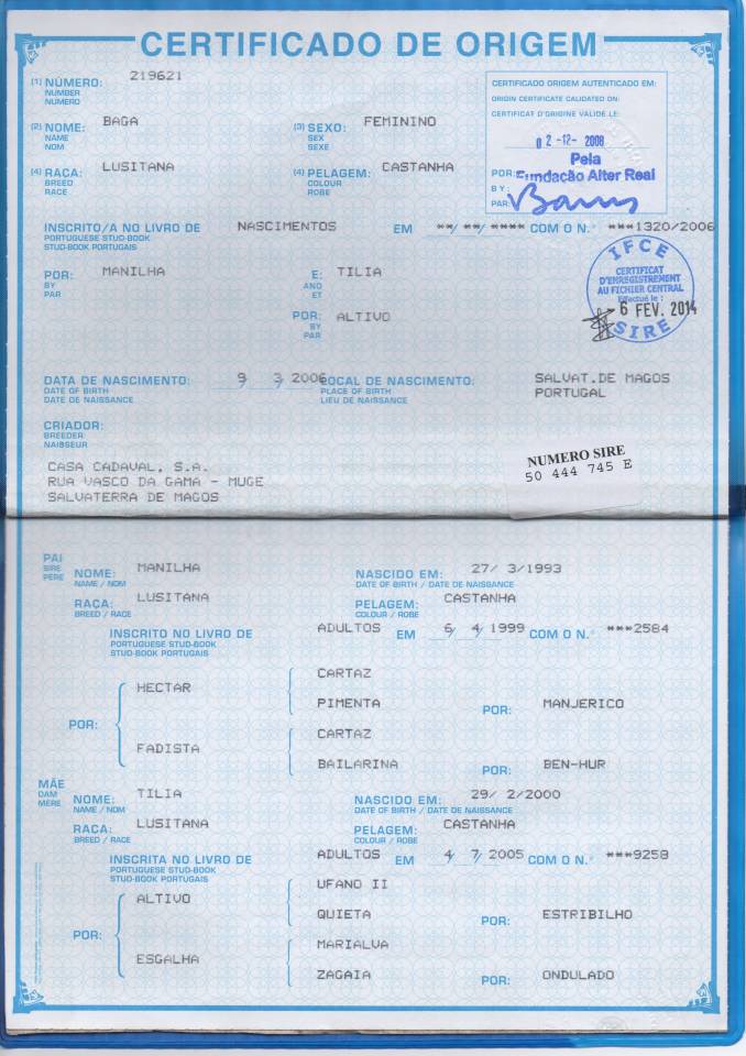 poulinière lusitanienne