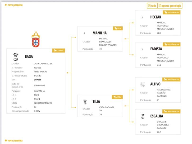 poulinière lusitanienne